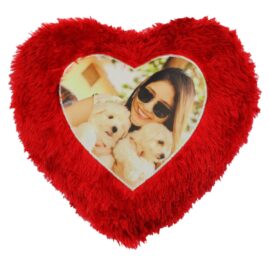 Red Heart Personalize Your Design Cushion